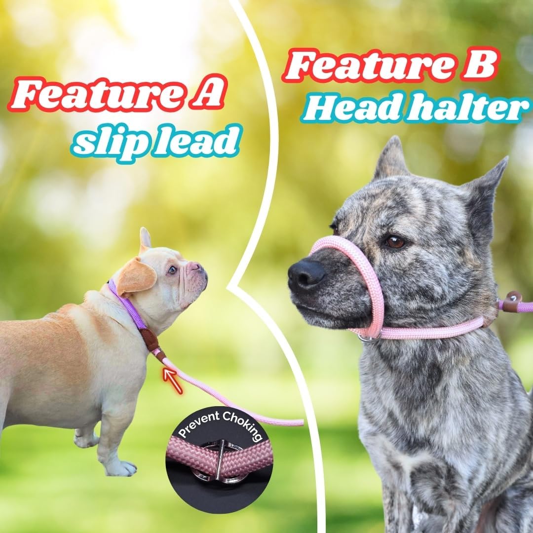 Slip Leads for Dogs 5 FT Pastel Rope Leash, Soft Slip Lead Dog Leash with Adjustable Stopper, Gradient No-Pull Training for Small Medium Large Breeds Pink and Purple image 3