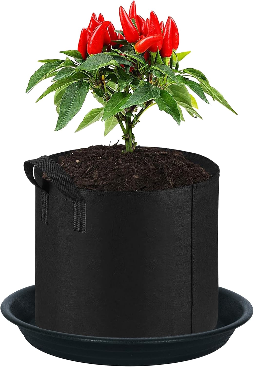 2 Pack Plant Saucer Drip Tray 11 12 inch, Pot Base for Plants Indoor, Plastic Flower Planter Saucers and Drip Trays for Outdoors, Heavy Durable Plant Plate Water Catcher (12", Black) - Image 5