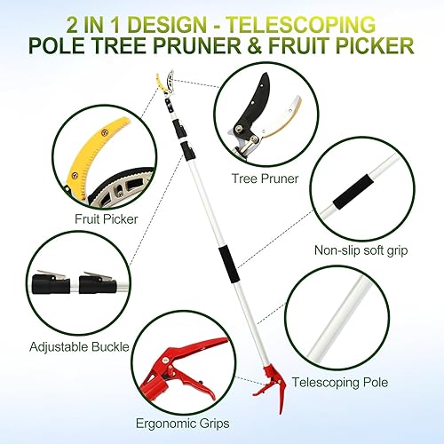 Miniatura 4 de Tijeras telescópicas de jardinería de poste de 4.6 a 10 pies, recolector de frutas y tijeras de derivación. Aluminio ligero, herramienta de