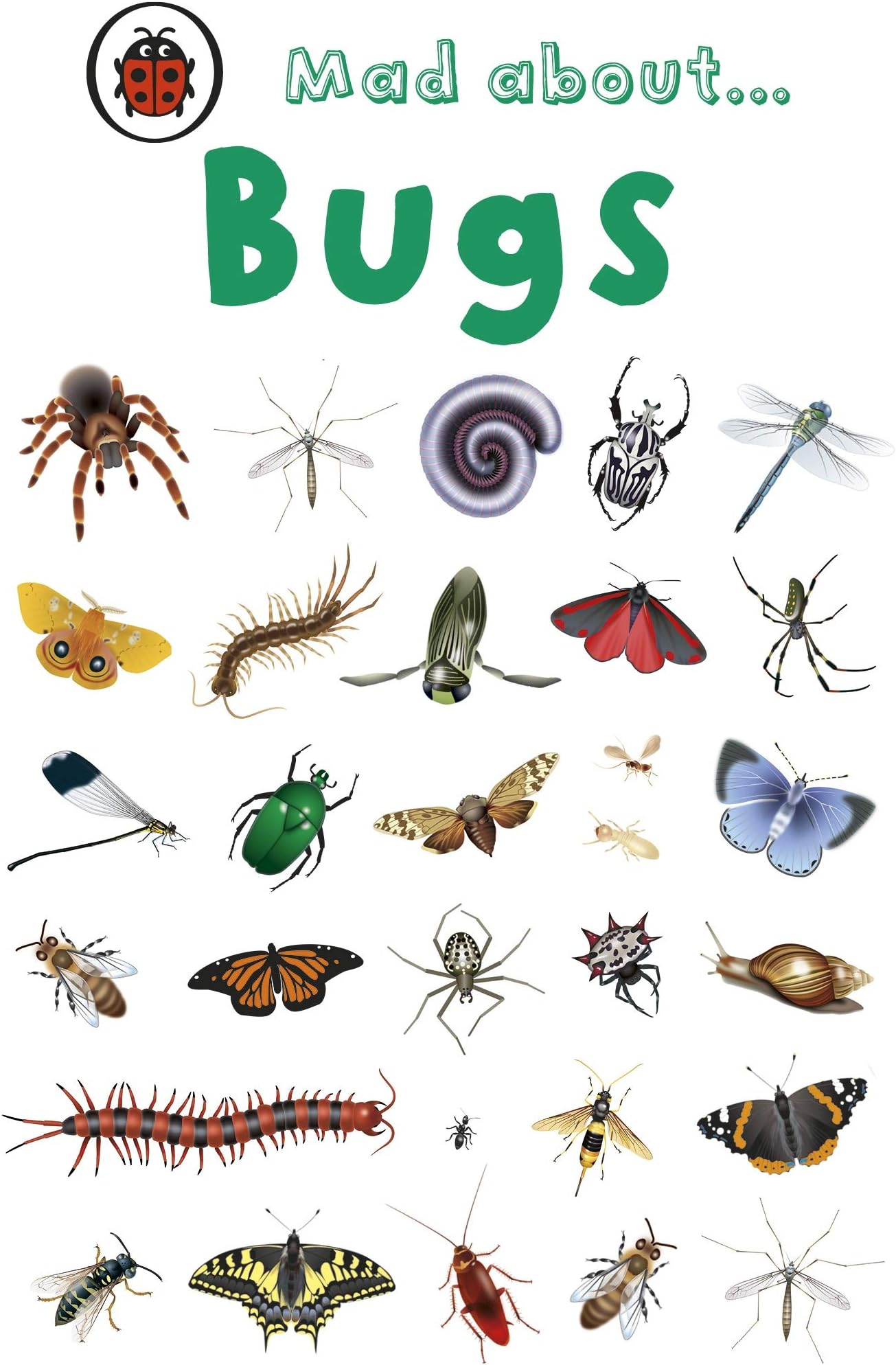 Mad About Bugs Hardcover – 6 March 2008