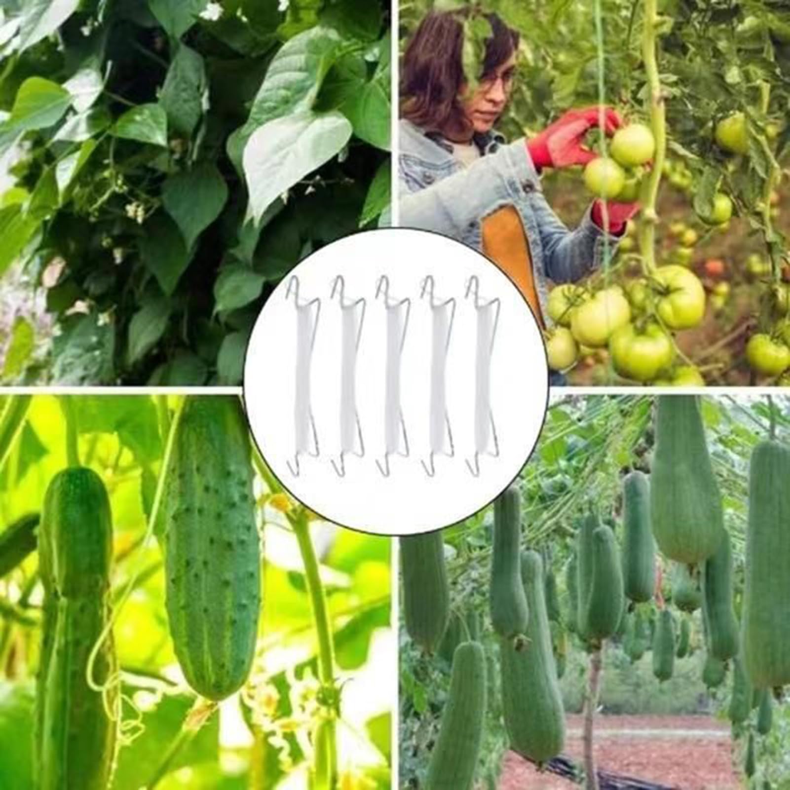 Pflanzenclips zur Unterstützung, Tomatenpflanzungs-Sets, multifunktionale Befestigung, Veredelungsklemme für Zuhause, Garten, Gewächshaus, professioneller Bauernhof