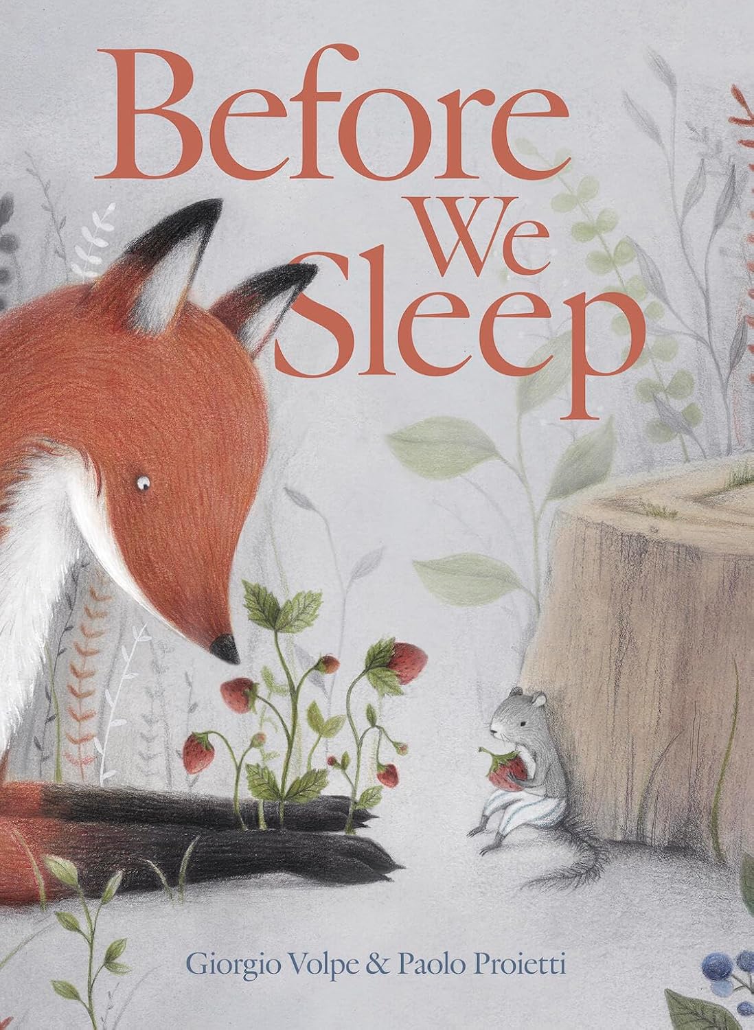 Before We Sleep      Hardcover – Picture Book, September 7, 2021