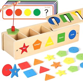 PEUTIER Magnetic Color Pairing Game, Wooden Color Shape Sorting Box Montessori Toys Color Recognition Toys Shape Color Matching Game for Kids Over 3 Years Old