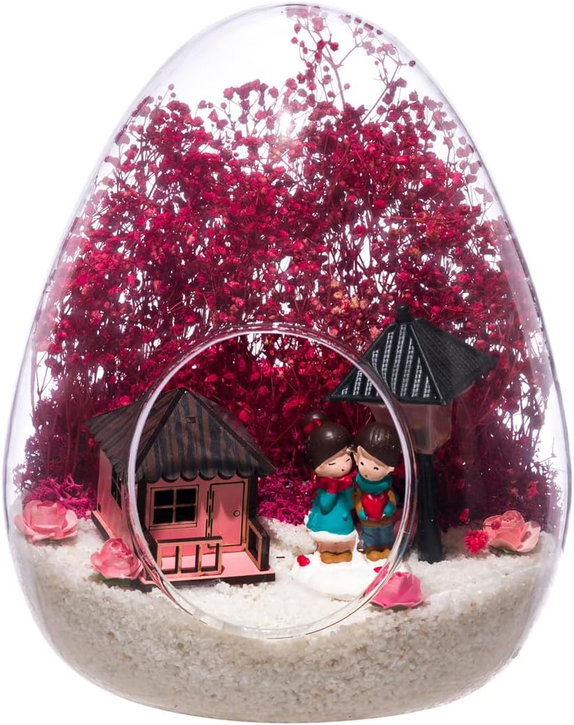 SODEF Terrarium Our Story Lighted Succulent Plants Decorative Tabletop Accent piece Unique Gift Idea for Home Decor - One Size