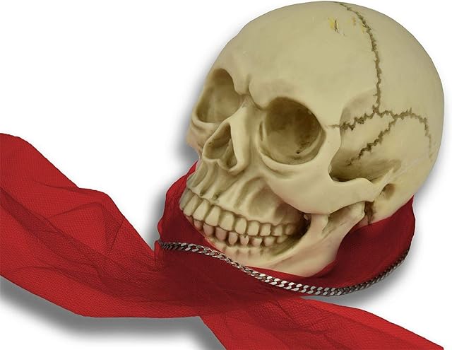 Vinsani® Life Size Replica Realistic Human Skull Bone Model for Gothic Halloween Party Decoration Accessories Props Ornament Skeleton Anatomical Medical Teaching
