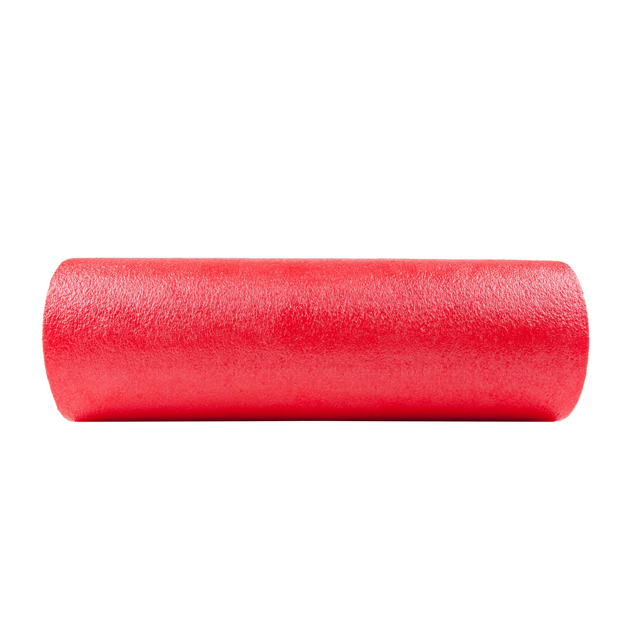 GoFit Balance Balance Foam Roller mit Training manuell