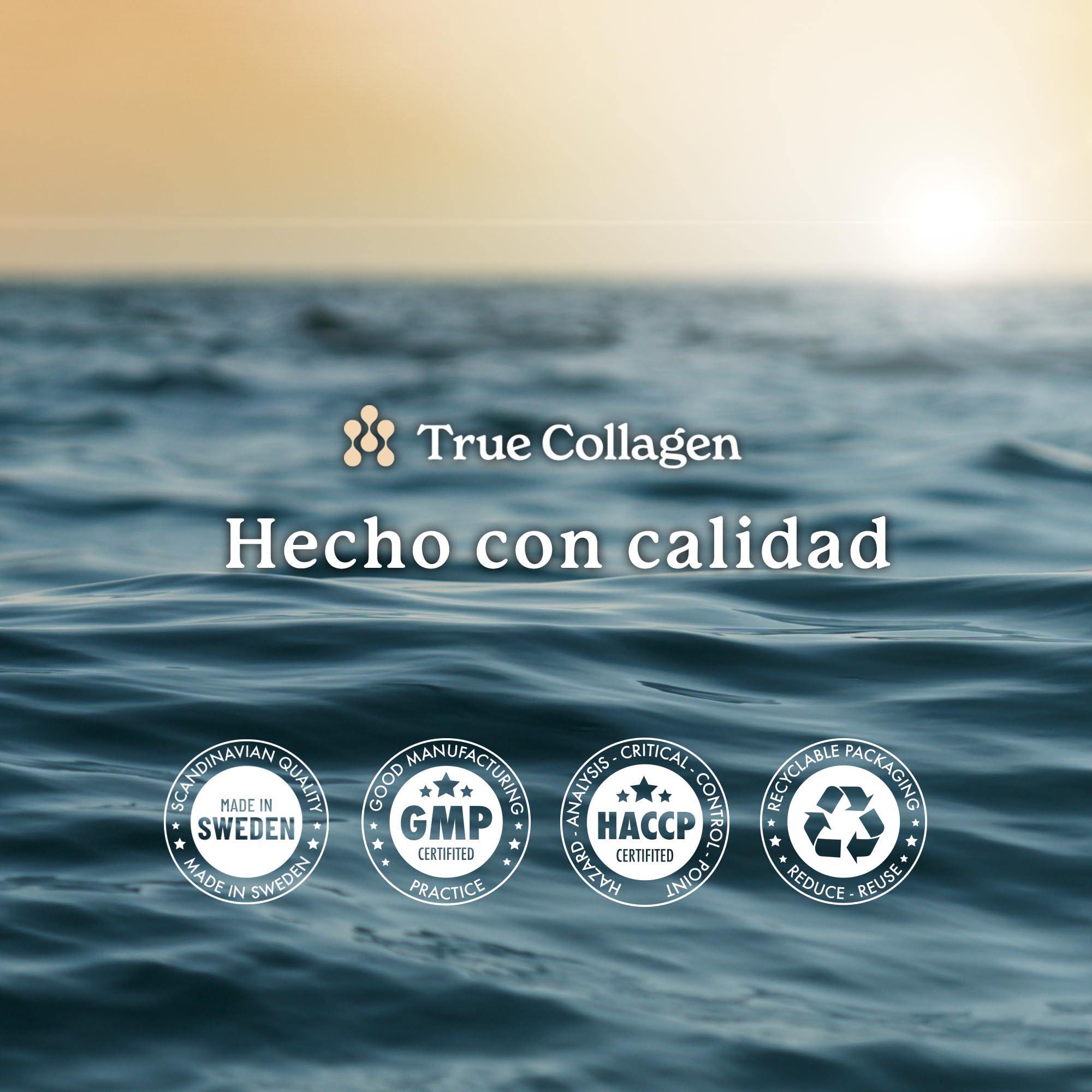 True Collagen | Suplemento Líquido de Colágeno Hidrolizado de 11 000 mg - 2 x 500 ml (1000 ml), Suministro para 40 días | Ácido hialurónico, biotina y vitamina C para un cabello, piel y