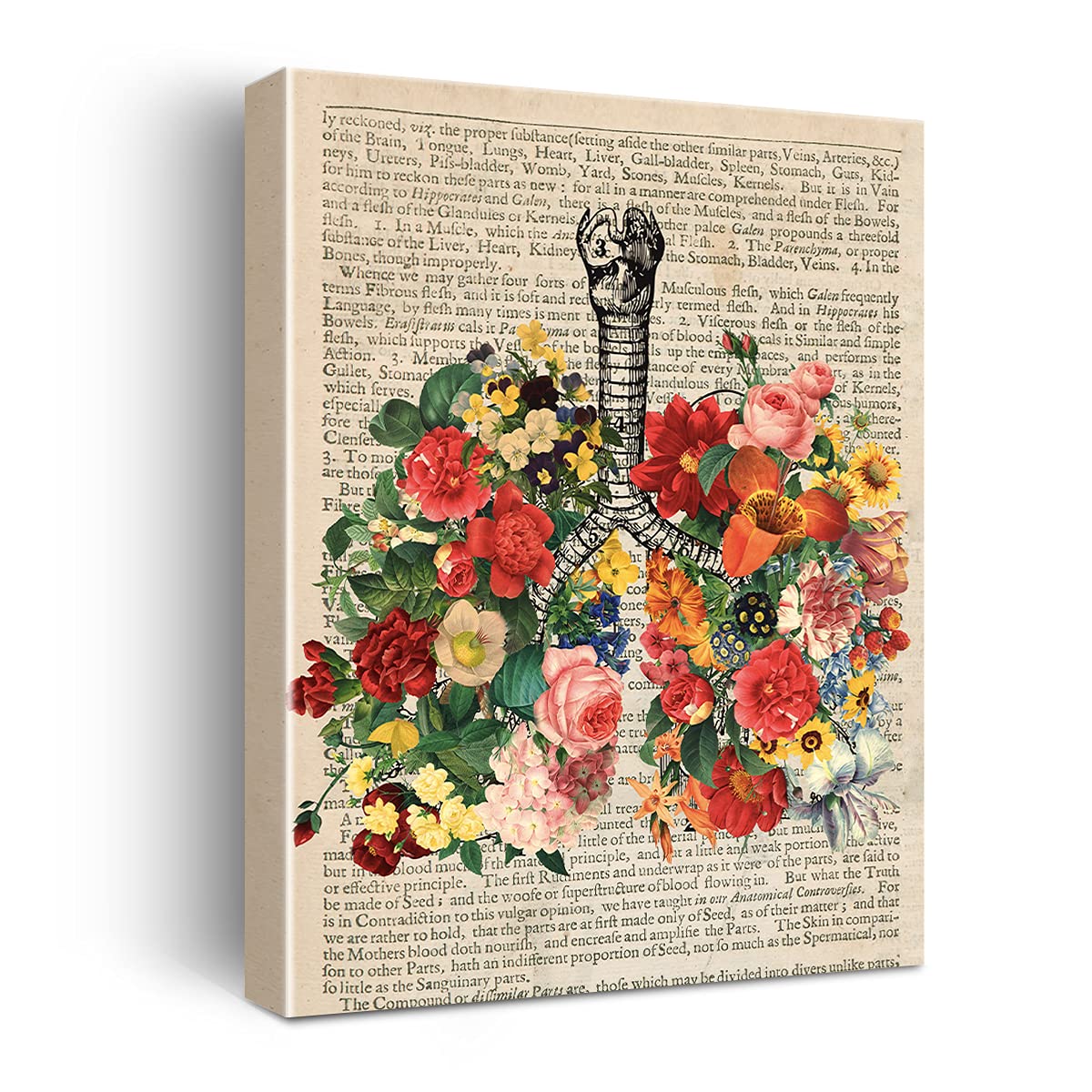 Hijie Vintage Human Anatomy Poster - Anatomy Canvas Wall Art Anatomical Lungs Floral Canvas Print Painting Ready to Hang Gifts for Home/Office/Medical School Decor - Easel & Hanging Hook 12x15 Inch