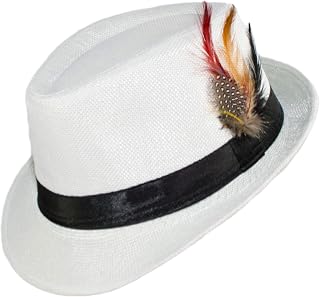 Amazon.com: hat feathers men