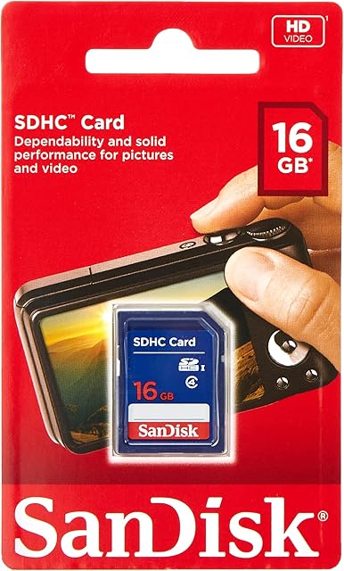 SanDisk 16 GB SDHC Class 4 Memory Card - Blue