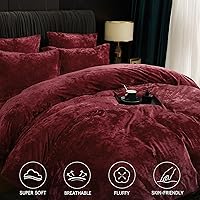 Vista 75 de PHF - Juego de funda de edredón de terciopelo auténtico tamaño individual, juego de funda de edredón ultra suave y transpirable de 2 piezas