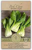 Gaea's Blessing Non-GMO Heirloom Bok Choy Seeds - Canton Pak Choi Chinese Cabbage, 90% Germination, 2g with Planting Guide