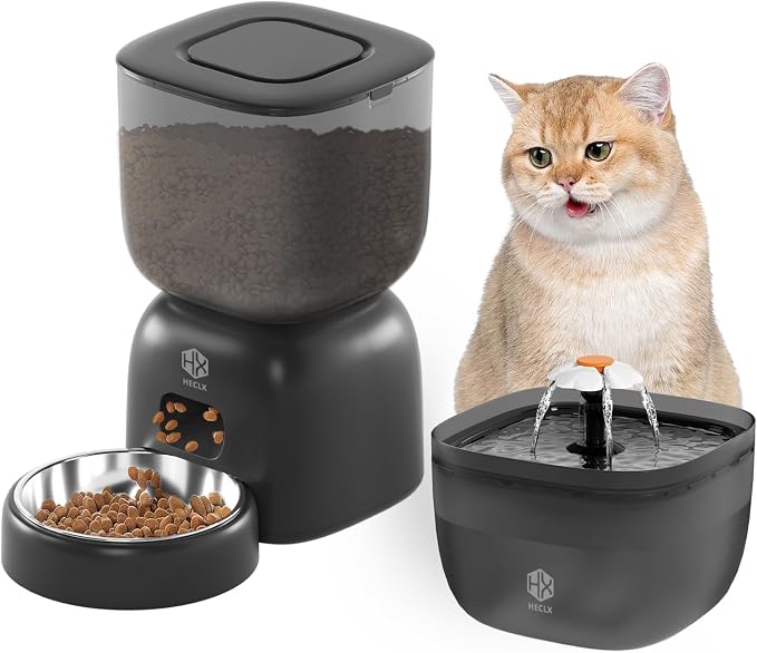 Automatic Cat Feeder & Water Fountain