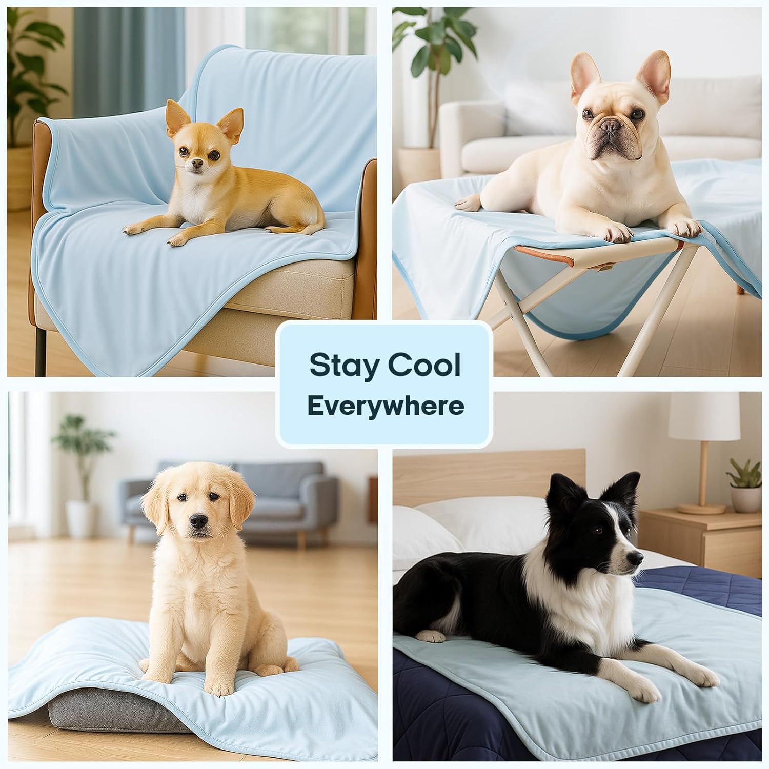 Zonli Premium Cooling Blanket for Dogs-Lightweight Fluffy Pet Throw & Bed Cover,Cooling Mat for Dogs,Cats&Puppies - Breathable,Durable Summer Blanket-Oversized 39"×55" Pet Pad, Machine Washable (Blue) - Image 6