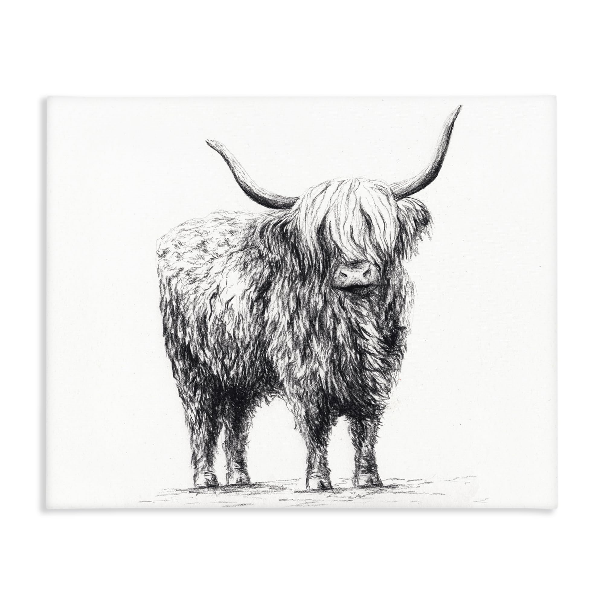 Stupell Industries 'Highland Cow in Charcoal', Canvas Art, 48 x 36 Inches, Easy to Hang and Sturdy, Made in USA, by Leah Noel Art