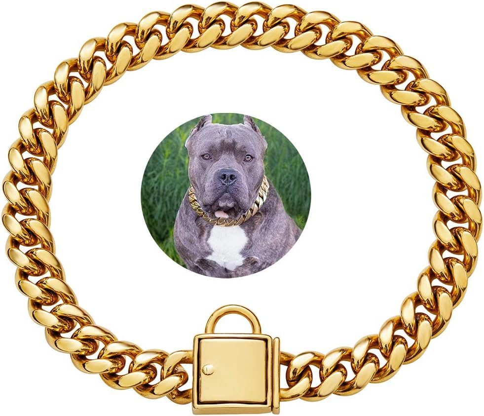 small dog gold chain