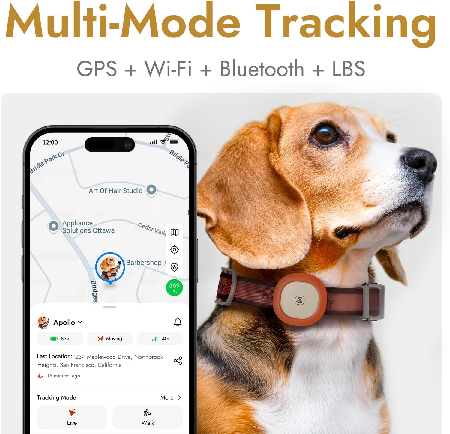 14L Automatic Dog Feeder for Large Breed with Stainless Steel Bowl and Molly&Cody GPS + Bluetooth Pet Tracker for Cats & Dogs – Real‑Time Tracking, Virtual Fence, IP67 Waterproof, Up to 60‑Day Battery