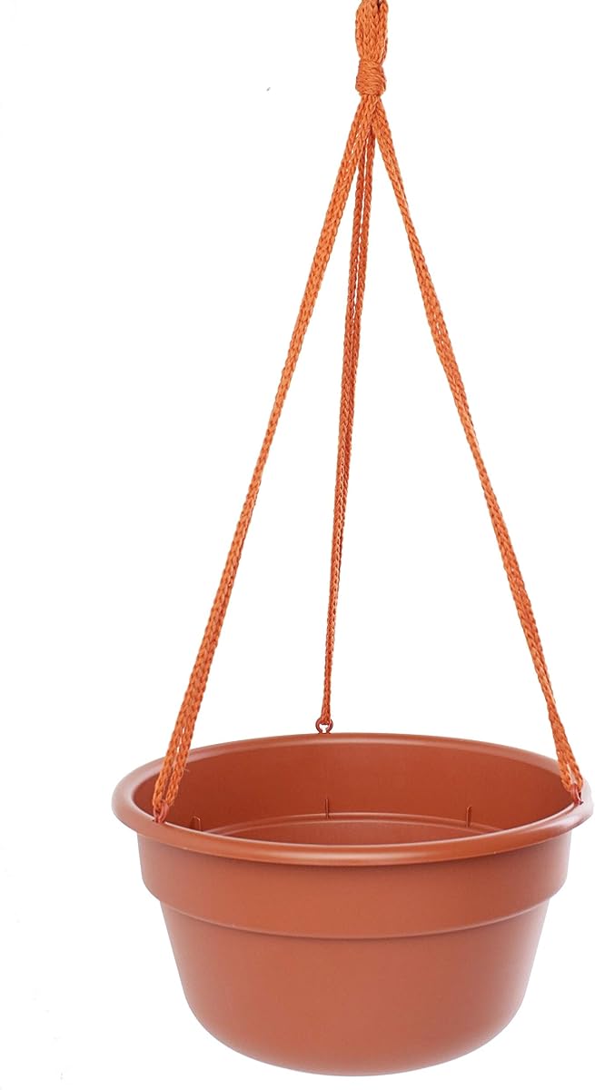 Bloem 6.8 in. H x 12.4 in. Dia. Resin Dura Cotta Terracotta Clay Hanging Basket