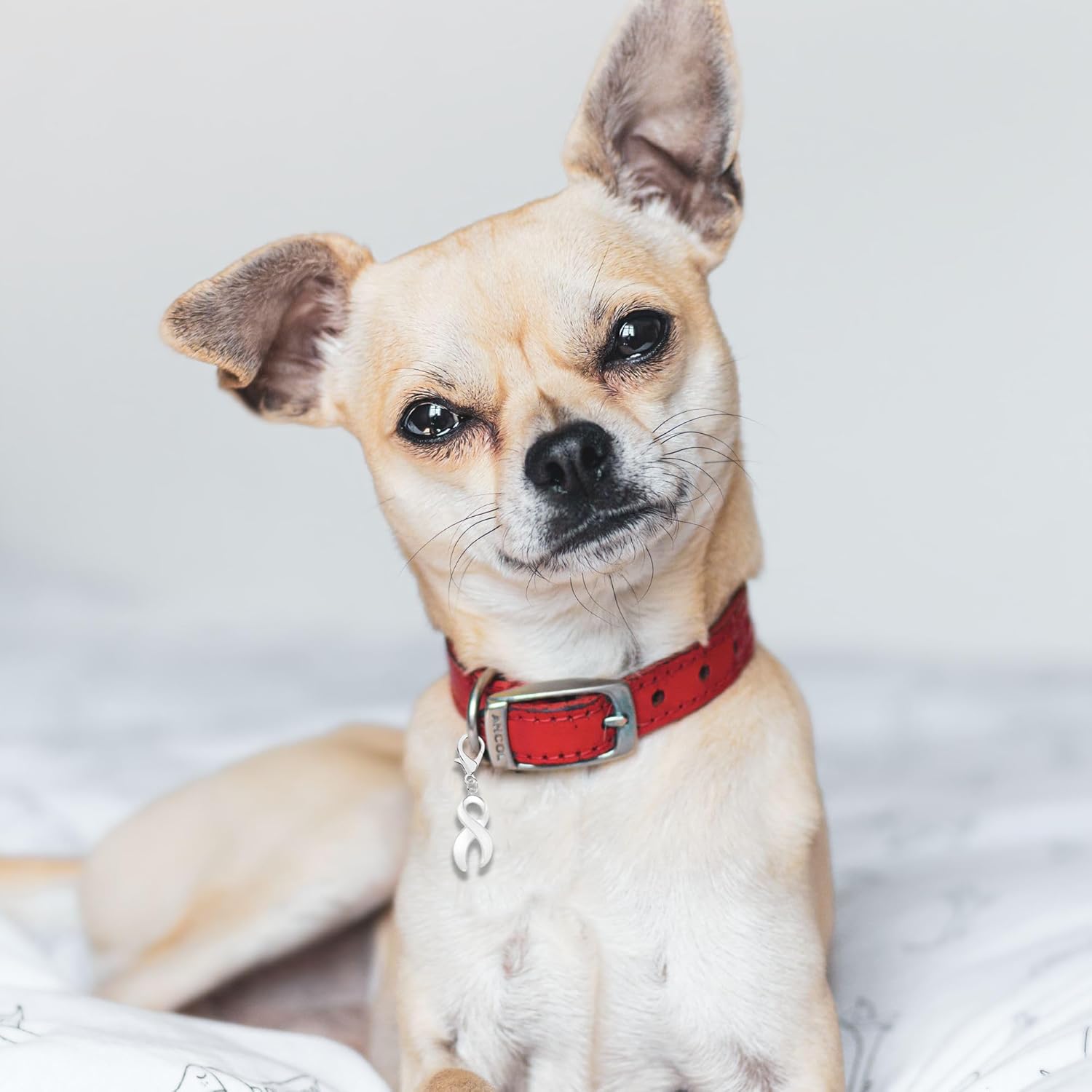 Beautiful Ribbon Hanging Charms for All Causes, Diseases, and Cancer - Ideal for Bracelets, Purses, Zipper Pulls on Jackets, Backpacks, Pet Collars - Perfect for Fundraising and Support Groups - Image 5