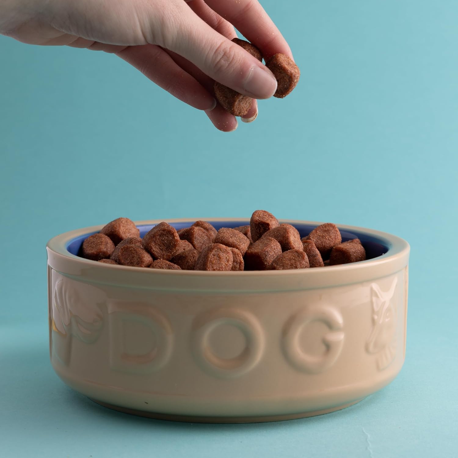 Mason Cash Cane & Blue Lettered Stoneware Dog Bowl 18 cm