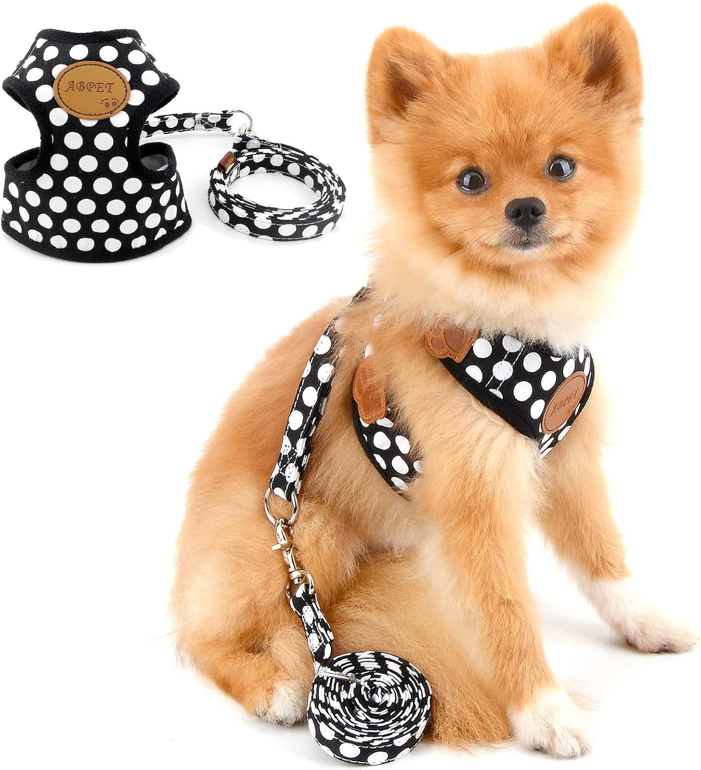 PAIDEFUL Arnés de Perro Chaleco Polca Puntos Arnés para Perros Pequeños Medianos Malla Suave Arneses y Correas para Gatos Mascotas Cachorros Perritos Caminar Entrenamiento al Aire Libre Negro M