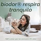 Ver la foto 7