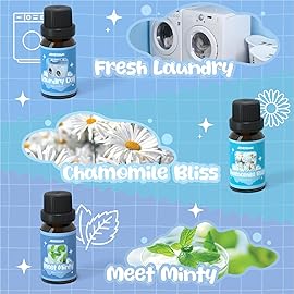 ARVIDSSON Laundry Collection Essential Oil Set, Natural Clean Essential Oils for Diffuser, Use with Wool Dryer Balls - Fresh Linen, Citrus Clean, Laundry Day, Chamomile Bliss, Lavender Field, Minty