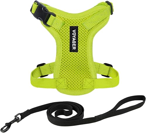 Voyager Escape-Proof Step-in Harness & Leash - Lime Green, XXS