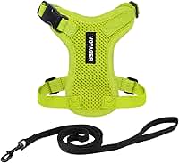 Peitoral para gatos Voyager Step-in Lock ajustável com conjunto de coleira para gatos com alça de neoprene de 1,5 m - suporta gatos de raças pequenas, médias e grandes da Best Pet Supplies -
