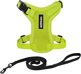 Peitoral para gatos Voyager Step-in Lock ajustável com conjunto de coleira para gatos com alça de neoprene de 1,5 m - suporta gatos de raças pequenas, médias e grandes da Best Pet Supplies -