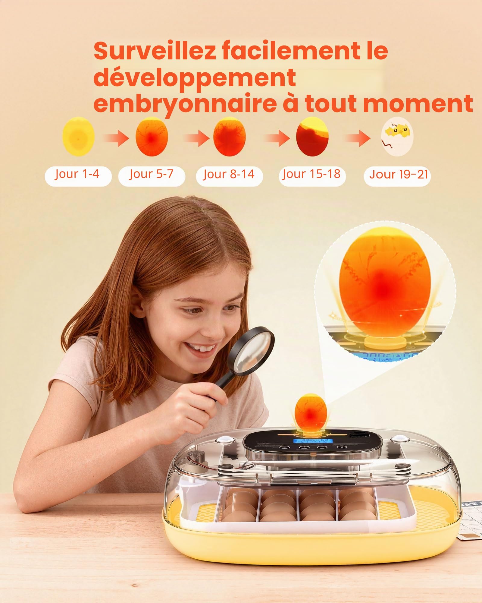VEVOR Couveuse Œuf Automatique 24 Œufs de Poule Incubateur Œuf pour Éclosion Œufs de Volaille Poussins Canetons Oies Cailles, avec Mire LED Affichage Température et Humidité Fenêtre Transparente 360°
