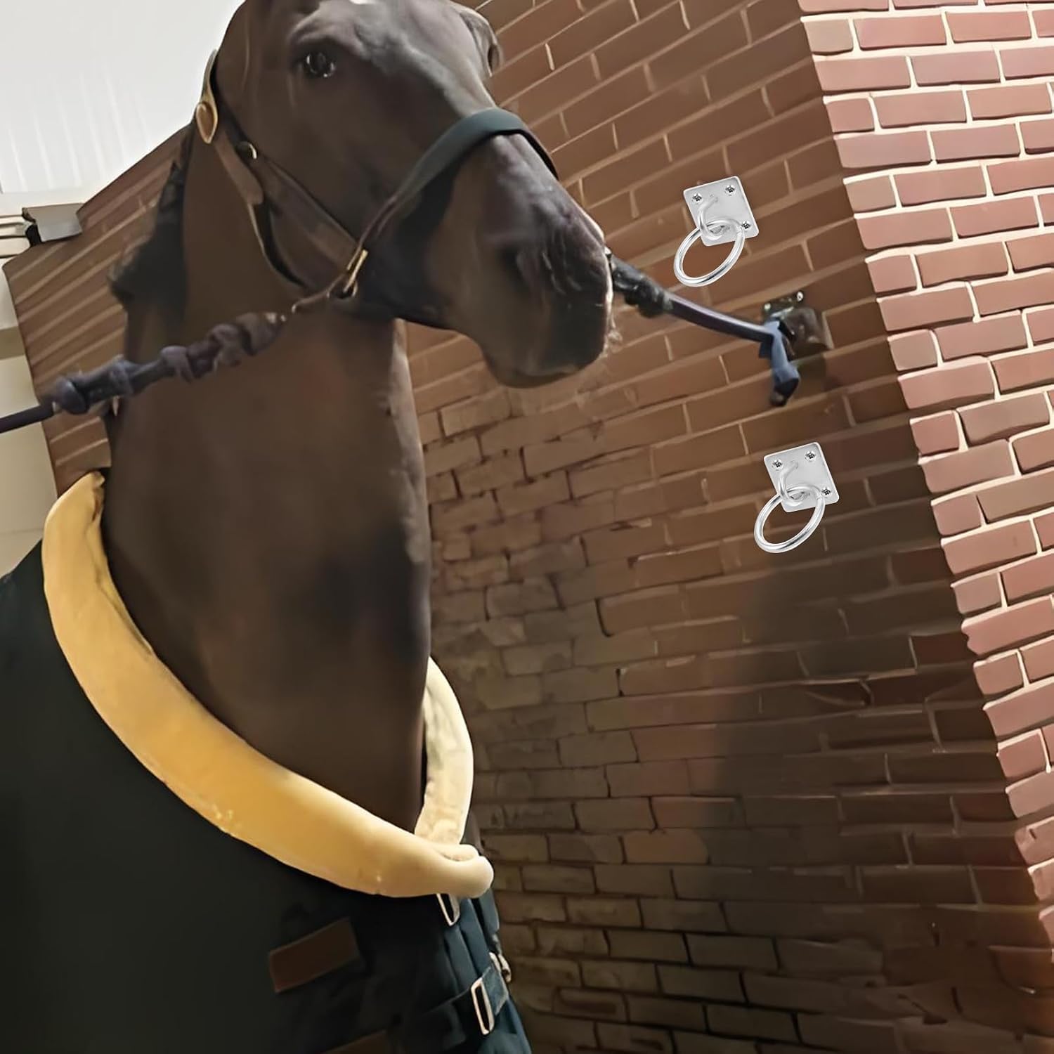 Horse Tie Ring Hitching Ring Iron Block Replacement with Multifunctional Design and Simple Operation for Horse Stall and Bathing Stable Supplies