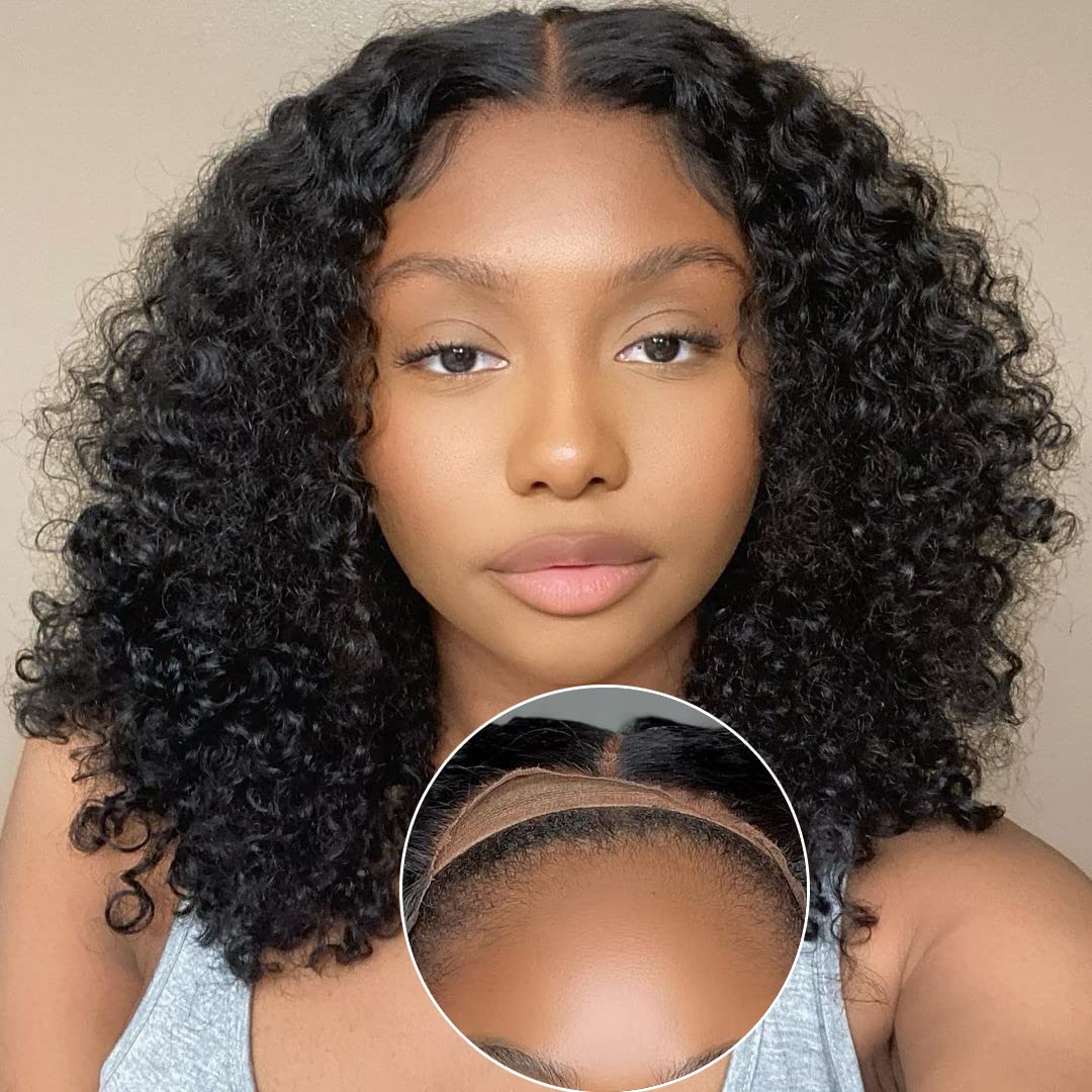ALIPOP Wear and Go Glueless Wig,4x4 Closure Wigs Human Hair Pre Cut Lace Glueless Wig,Curly Lace Front Wig Human Hair Wigs for Black Women Human Hair Glueless No Glue 14 Inch for Beginners