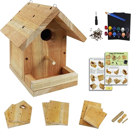 Kit de casa de pájaros de bricolaje con juego de pintura - Kits de manualidades de madera para niños - Haz un kit de casa de pájaros para niños -