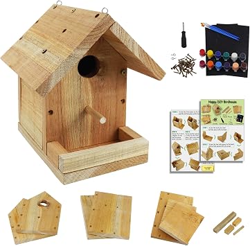 DIY Birdhouse Kit with Paint Set - Kids Wood Craft Kits - Make a Bird House Kit for Kids - DIY Woodcraft Building Projects for Kids and Adults- STEM Teaching Tools