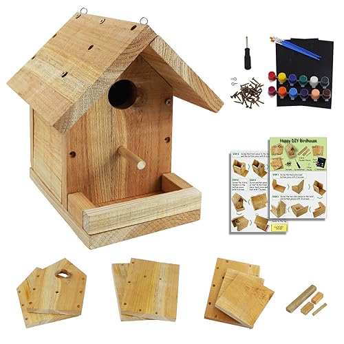 DIY Birdhouse Kit with Paint Set - Kids' Wood Craft