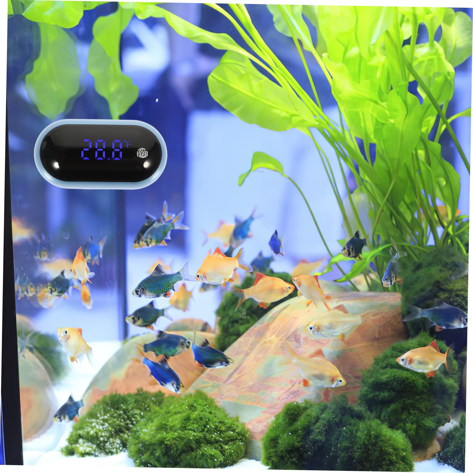 Kisangel 3pièces Thermomètre Numérique De Précision Pour Aquarium Thermomètre Portable Étanche Avec Écran Led Affichage Température Pour Utilisation Intérieure Et Extérieure