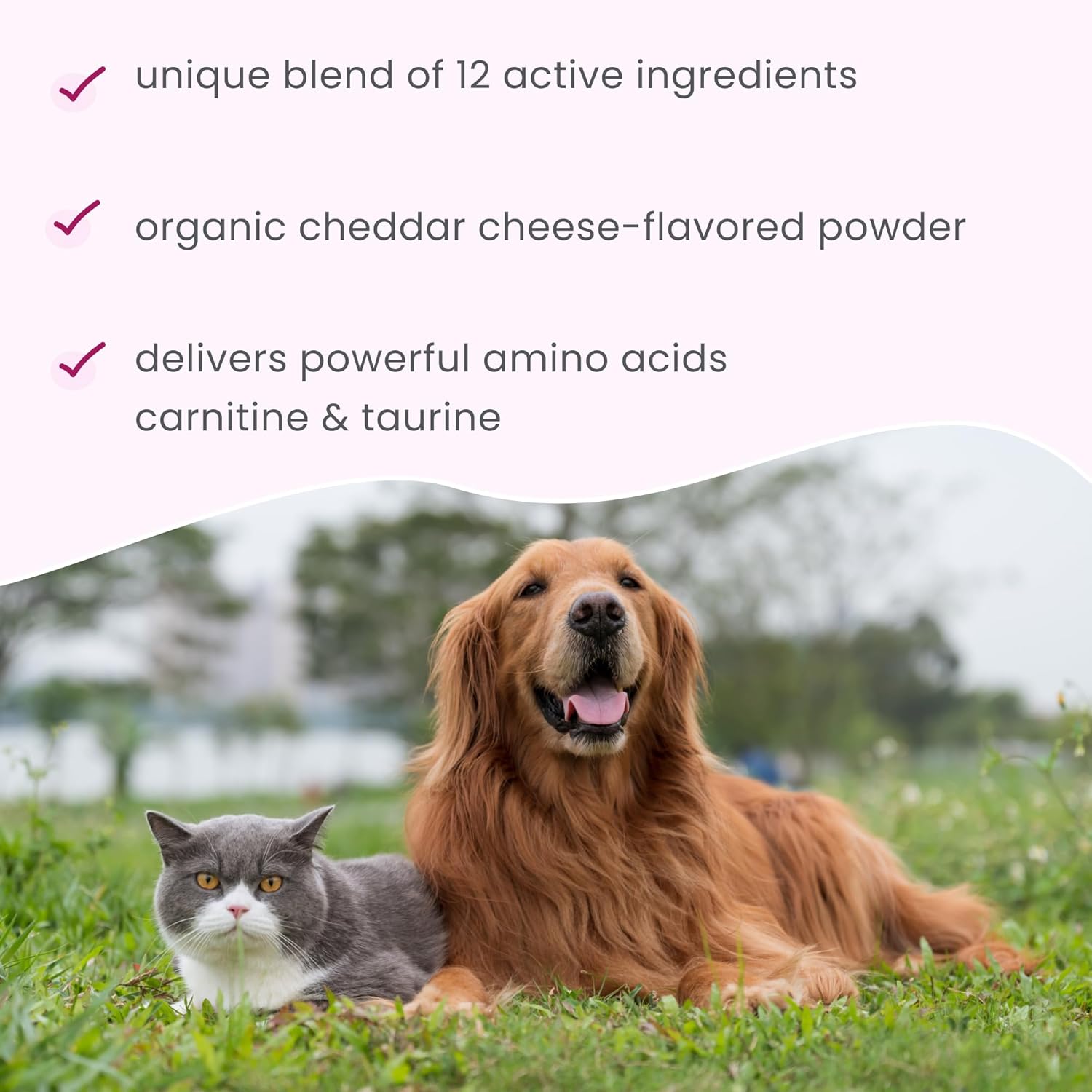 Bark & Whiskers Heart Health - Cardiovascular Support - Taurine - L-Carnitine - Organic Cheddar Base - for Dogs & Cats - 3.17 oz (90 Scoops)