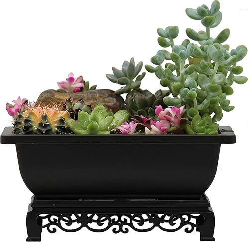 Miniatura 10 de Maceta para bonsái  Paquete de 2 macetas de entrenamiento para bonsái de 11.5 pulgadas con soporte Eelegant  Macetas de bonsái marrón antiguo con