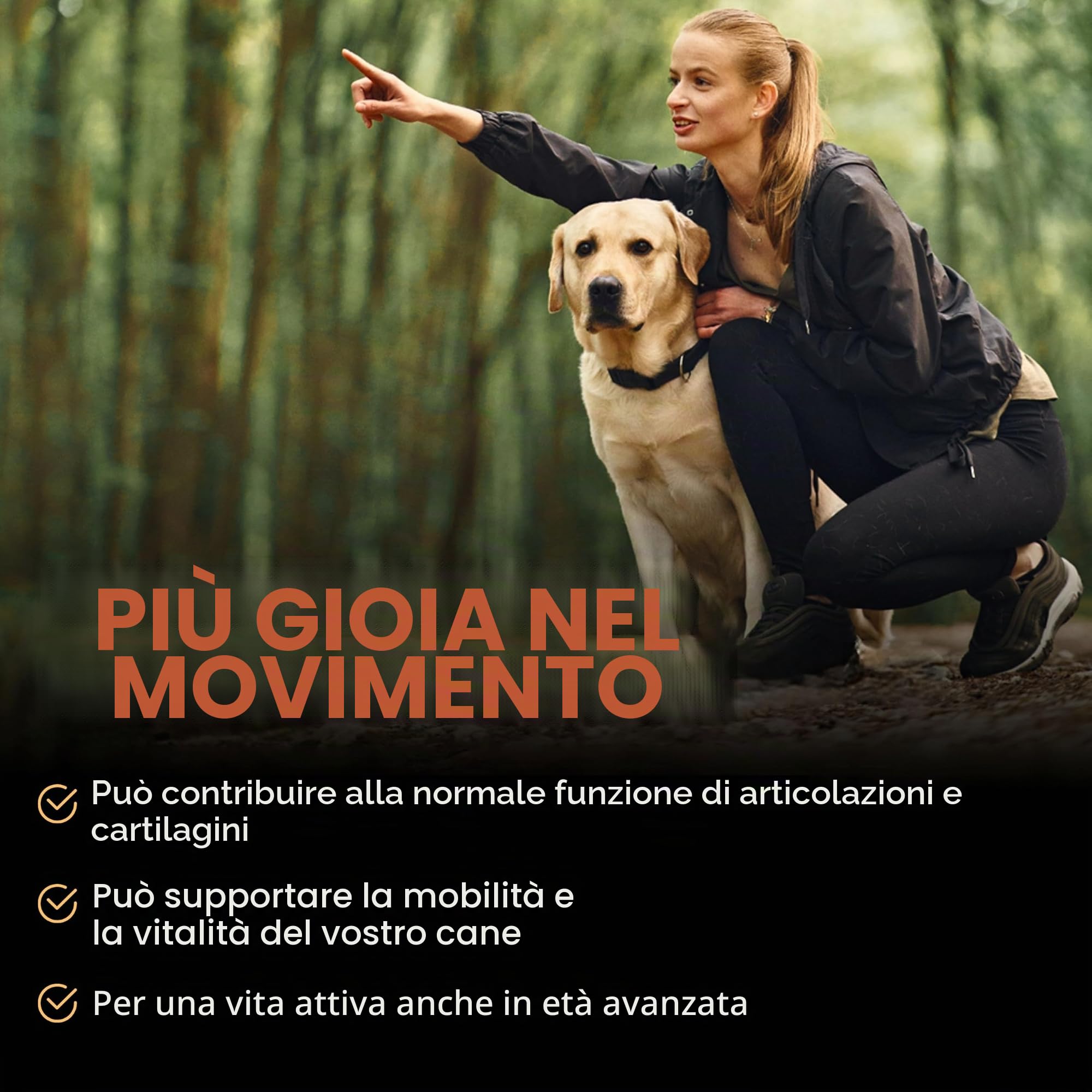 Articolazioni cane | Integratore cani CaniComplete, compresse per le articolazioni del cane con Glucosamina, Condroitina, Artiglio del Diavolo, MSM e Vitamine – supporto articolare