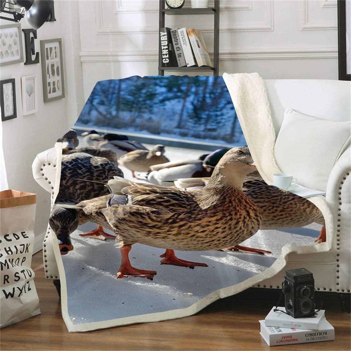 Couverture polaire canard pour canapé Plaid doux imprimé 3D salon