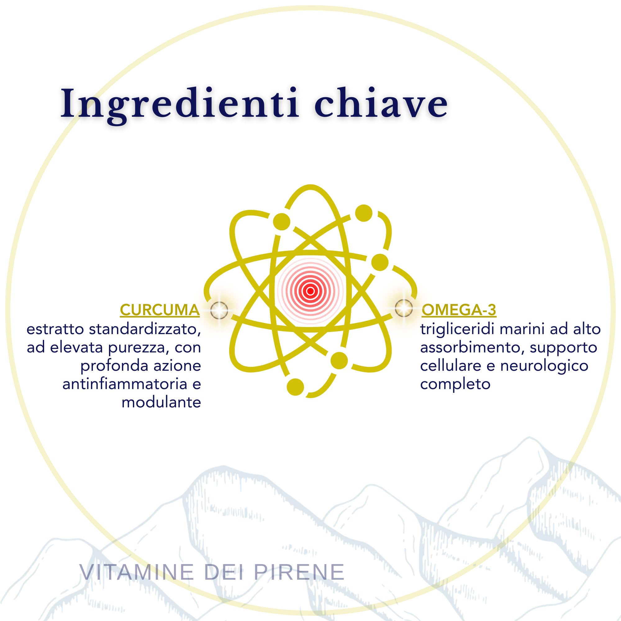 Omega 3 e Curcuma Alta Potenza – Gestione dell’Infiammazione, 2 Integratori in 1 Confezione per Salute Articolare e Cerebrale I 56 Dosi Giornaliere