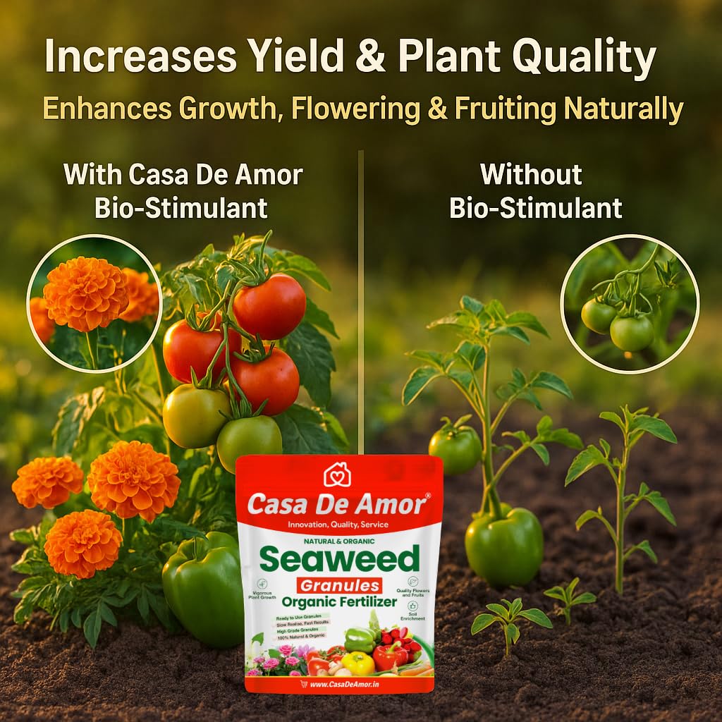 Casa De Amor Seaweed Granules Organic Plant Food, Plant Growth Promoter, Suitable For All Types of Plants (900 gm) 3