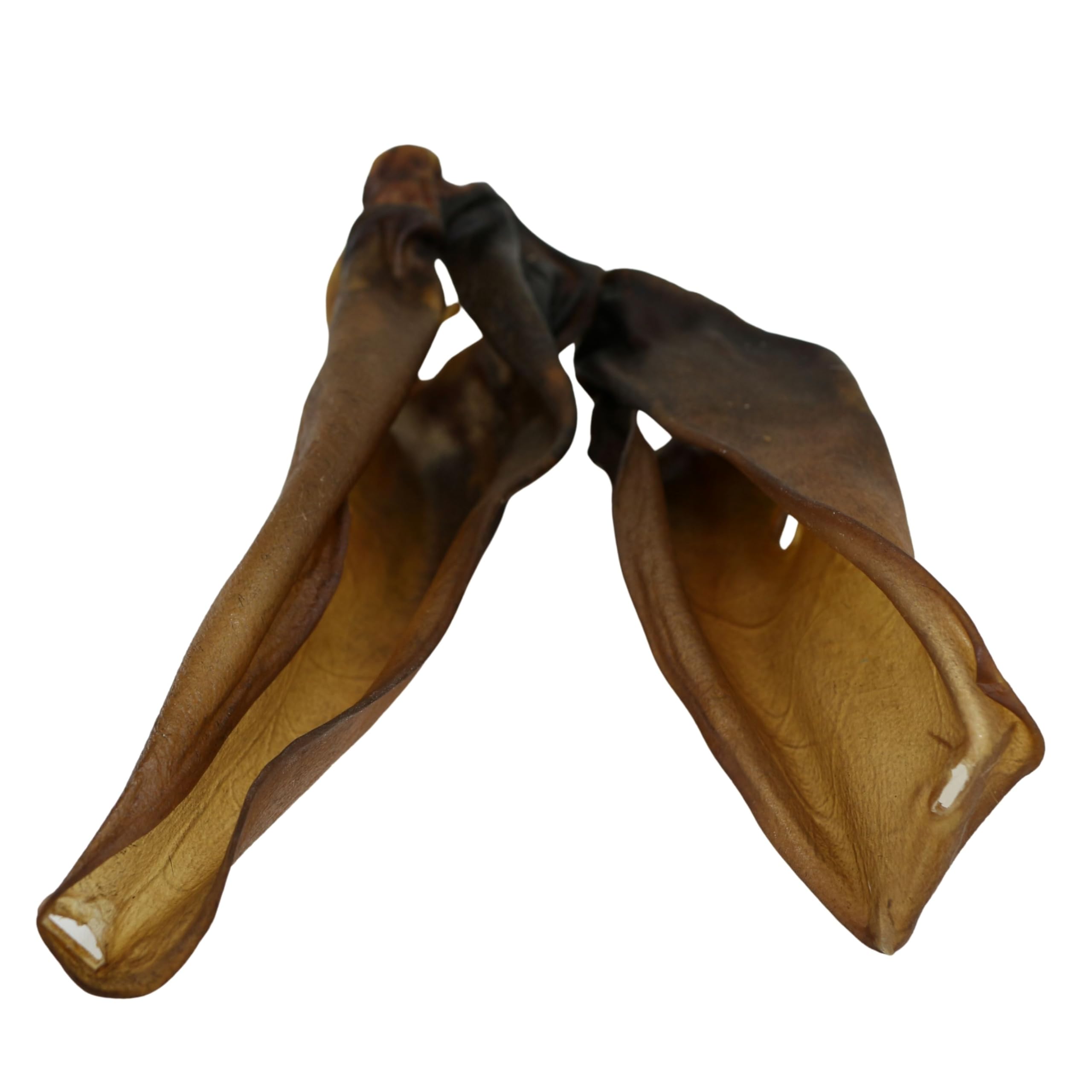 Oreilles de boeuf sans poils pour chiens - 100% boeuf, délicatesse naturelle, collations séchées, séchées délicatement, sans céréales, sans additifs artificiels, nourriture complémentaire
