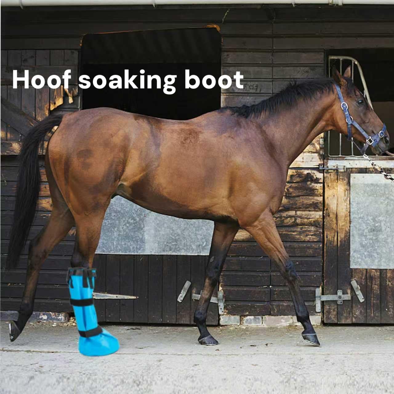 GARFTAI Horse hoof Soaking Boot,Easy use Soaker Bag, Equine Soaking Boot, Hooves Care Treatment Bucket - image 8
