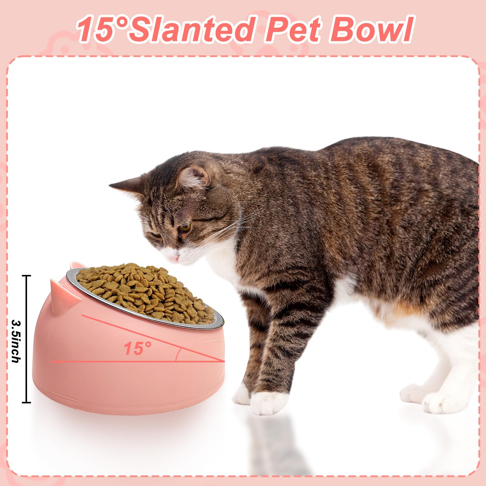 7 ciotole per cibo per gatti in acciaio inox inclinato per cani di piccola taglia rialzati a 15° piatto per animali domestici per gattini cuccioli antiscivolo rimovibile in acciaio inox ciotola per