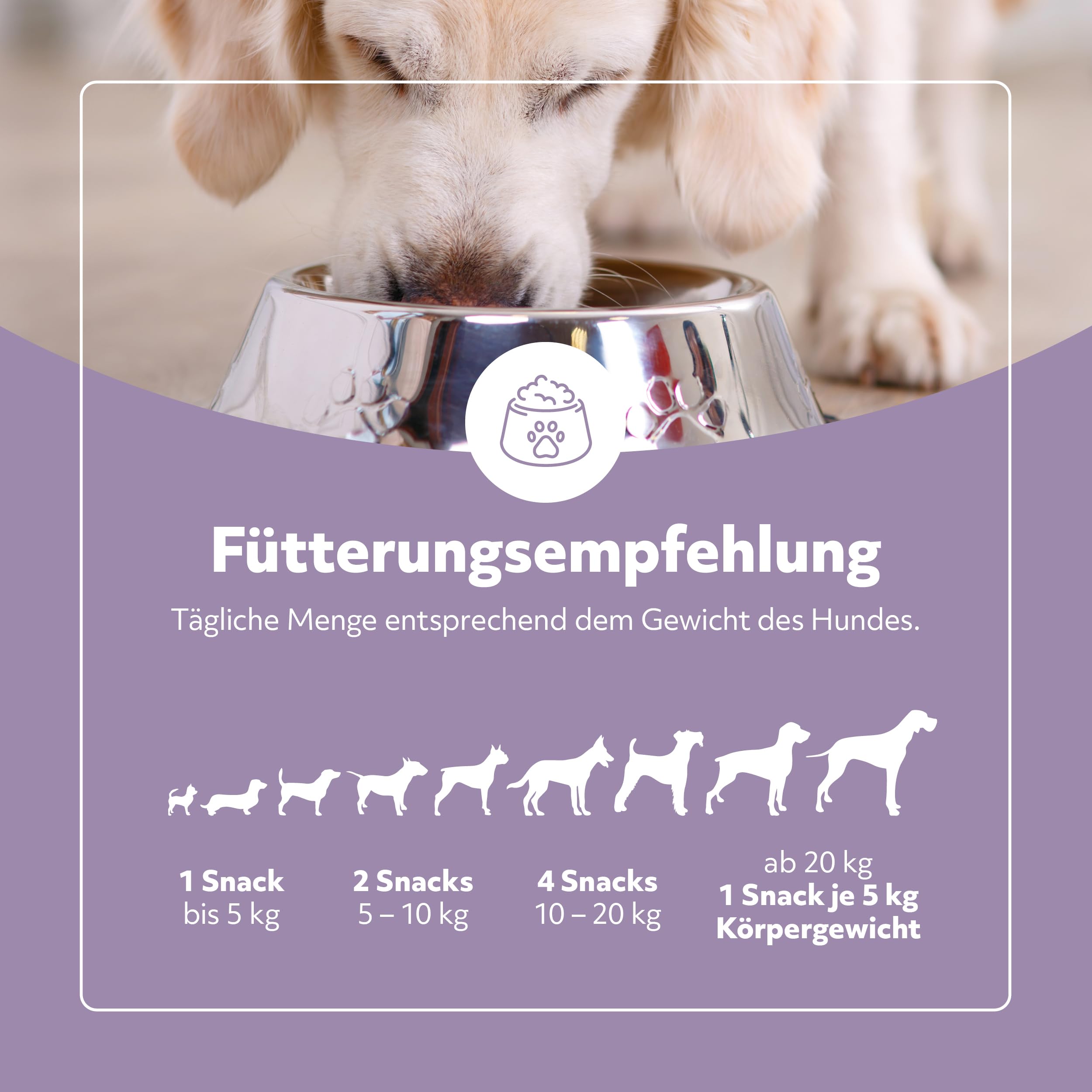 Snacks Magen+Darm hochkonzentriert mit Fenchelsamen & Flohsamenschalen für Hund, Leckerli mit Präbiotika, Postbiotika, Kamillenblüten, Bierhefe, Omega-3, Vitamine E + B1, 325 g