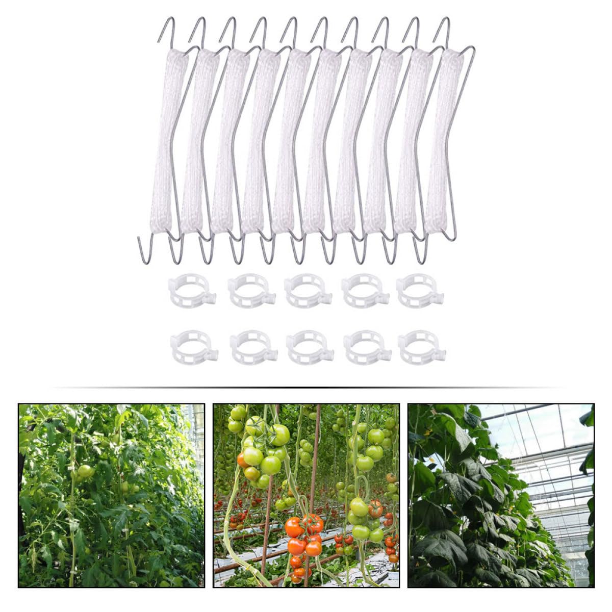 GANAZONO 2sets Ganci per Giardinaggio con per Supporto Piante Kit di Trellis per Pomodori e Cetrioli Ganci Metri di Corda per Massimizzare La Crescita Spazi Ridotti
