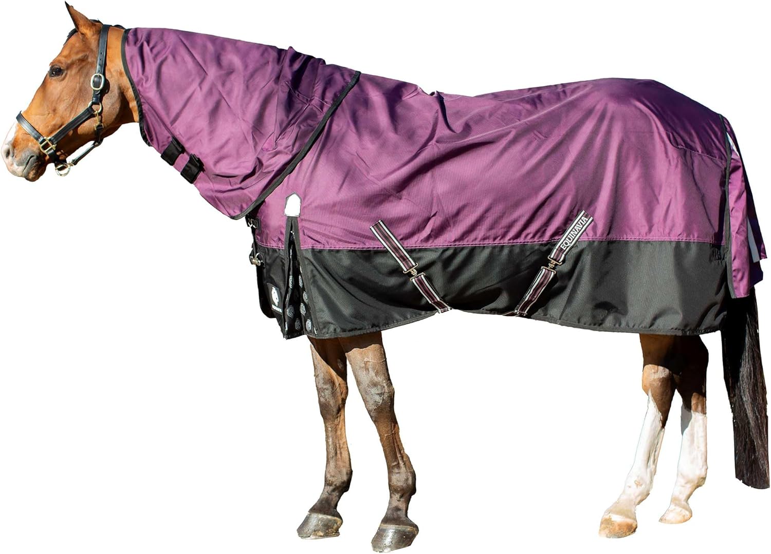 Equinavia Thunder 360 Detachable Neck Light Weight Turnout Blanket 100g - Bluestone Blue - 81 in