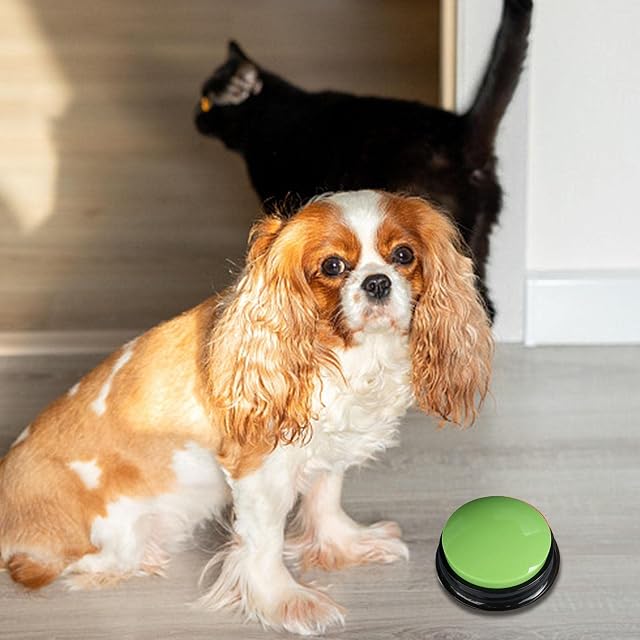 Foto 6 de 8 de Stronrive Perro, Botones parlantes grabables para Perros